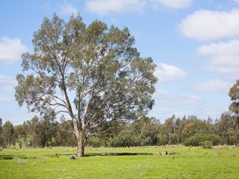 Muckleford Gower Land Gower VIC 3463 - Image 1