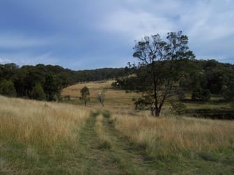 303 Covan Creek Road Lake Bathurst NSW 2580 - Image 1