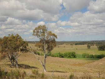 179 Cnr Masons Road & Owens Road Windellama NSW 2580 - Image 2