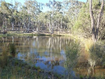 21 Paddys Close Lower Boro NSW 2580 - Image 2