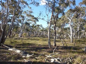 86 Paddy's Close Lower Boro NSW 2580 - Image 3