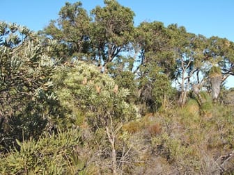 Click to view all images Lot 510 Cockleshell Gully Road Jurien Bay WA 6516 - Image 3
