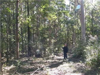 Click to view all images Lot 1 Sunday Creek Road Jimna QLD 4515 - Image 3