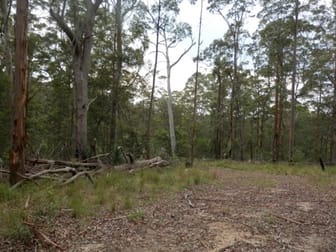 Lot 5 Long Gully Road Drake NSW 2469 - Image 3