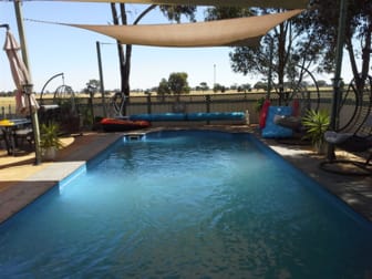 113 Martin Road St Arnaud VIC 3478 - Image 2