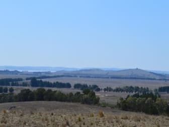 71 Hilltop Close Tarago NSW 2580 - Image 1