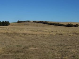 71 Hilltop Close Tarago NSW 2580 - Image 2