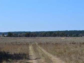 71 Hilltop Close Tarago NSW 2580 - Image 3