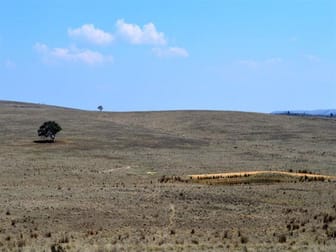 116 Lakeview Road Tarago NSW 2580 - Image 1