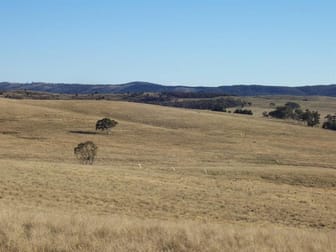 116 Lakeview Road Tarago NSW 2580 - Image 3