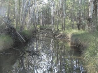 Lot 17 Wieambilla Road Wieambilla QLD 4413 - Image 2