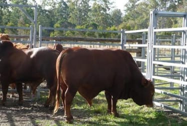 Whiporie NSW 2469 - Image 2