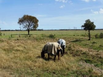 1573 Burncluith Hall Road Chinchilla QLD 4413 - Image 3