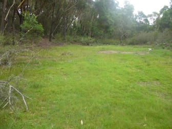 8170 Nerriga Road Tomboye NSW 2622 - Image 3