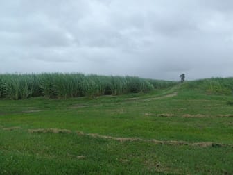60 Taylors Beach Road Halifax QLD 4850 - Image 2