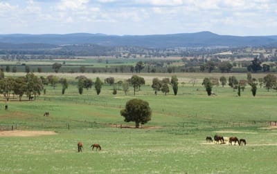 Canowindra NSW 2804 - Image 2