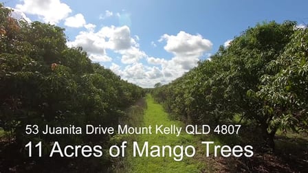 53 Juanita Drive Mount Kelly QLD 4807 - Image 2