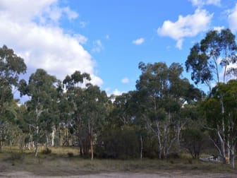 Lot 8 Sandy Point Road Windellama NSW 2580 - Image 3