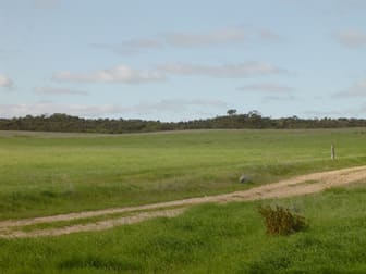 Lot 14 Hamersley Rd Mount Adams WA 6525 - Image 2