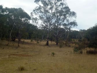 1533 Sandy Point Road Mayfield NSW 2580 - Image 2