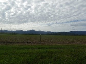 11 Coldwater Road Abergowrie QLD 4850 - Image 3