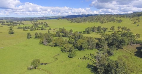 321 Wallaringa Road Dungog NSW 2420 - Image 3