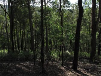 Lot 1 Wallagaraugh Road Wallagaraugh VIC 3891 - Image 2