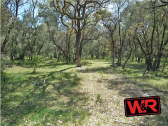 Lot 3703 Piggott Martin Road Lowlands WA 6330 - Image 3