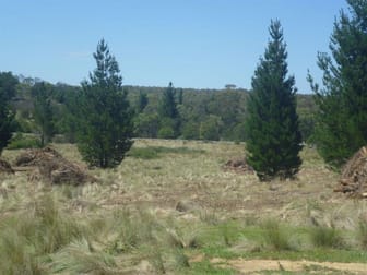 Lot 3 & 4 Tall Pines Estate Nerriga NSW 2622 - Image 1