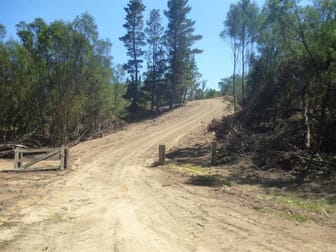 Lot 3 & 4 Tall Pines Estate Nerriga NSW 2622 - Image 2