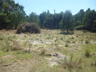 Lot 3 & 4 Tall Pines Estate Nerriga NSW 2622 - Image 3