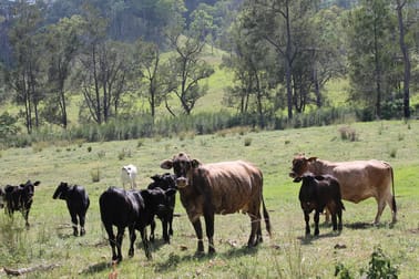 Click to view all images Rivertree NSW 2372 - Image 3