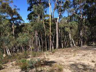 167 Meangora Road Nerriga NSW 2622 - Image 2
