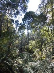 Lot 1 Myrtle Creek Road Liffey TAS 7301 - Image 2