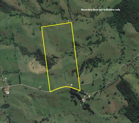 210 Pheasant Rd Millaa Millaa QLD 4886 - Image 2