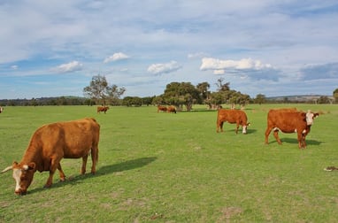Lot 4 Brand Highway Gingin WA 6503 - Image 2