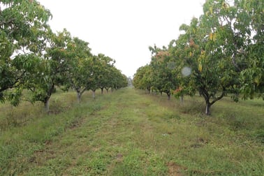 2395 Woodstock Giru Road Majors Creek QLD 4816 - Image 3