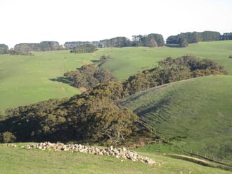 710 Springmount Road Hindmarsh Tiers SA 5202 - Image 2
