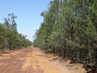 621 Acres - Lot 6 Aytons Road Miles QLD 4415 - Image 2