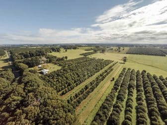 250 Dalwood Road Dalwood NSW 2477 - Image 1
