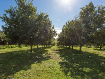250 Dalwood Road Dalwood NSW 2477 - Image 2