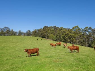 Lot 2/72 Freemans Rd Lower Beechmont QLD 4211 - Image 2