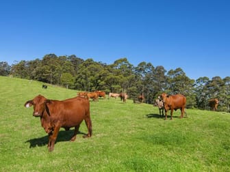 Lot 2/72 Freemans Rd Lower Beechmont QLD 4211 - Image 3