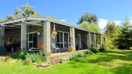 65 Springs Road Newry VIC 3859 - Image 1