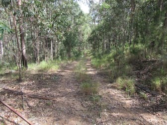 Lot 7 Bulldog Road Tabulam NSW 2469 - Image 2