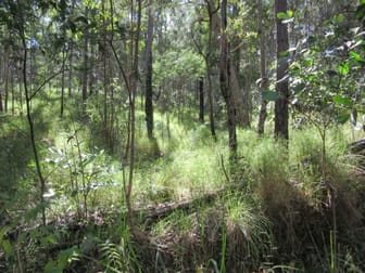 Lot 7 Bulldog Road Tabulam NSW 2469 - Image 3