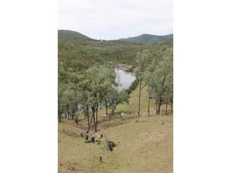 2339 Rivertree Road Rivertree Via Stanthorpe QLD 4380 - Image 1