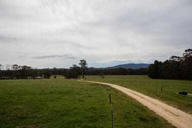 55 Hadfield Road Cann River VIC 3890 - Image 3