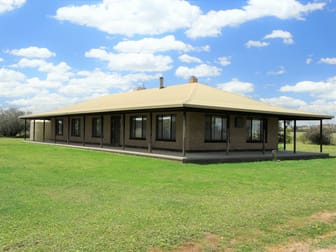 554 Reapers Road Henty NSW 2658 - Image 1