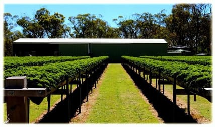 586 Texas Road Broadwater QLD 4380 - Image 3